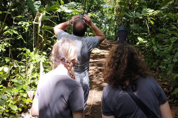 Arenal Sloth Quest: Ethical Sloth Viewing in La Fortuna photo 4
