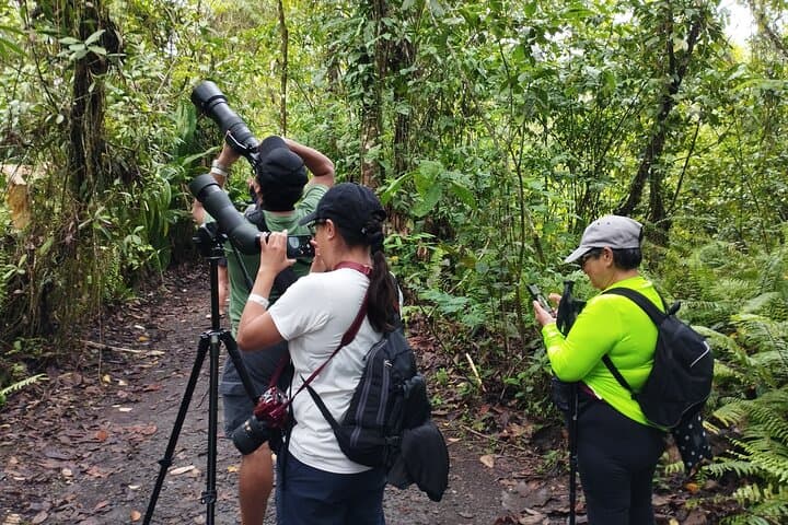 Arenal Sloth Quest: Ethical Sloth Viewing in La Fortuna photo 6