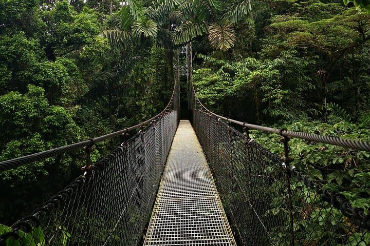 Arenal Hanging Bridges, Volcano Hike & La Fortuna Waterfall — Full-Day Combo photo 1