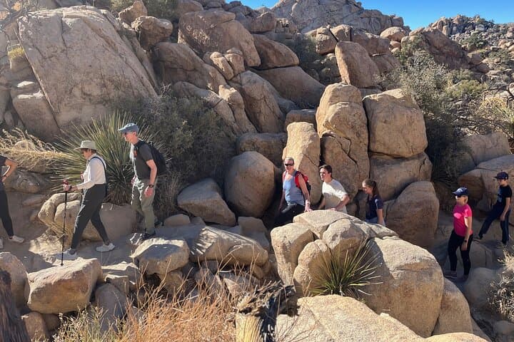 Joshua Tree Private Sightseeing Tour: Hidden Valley, Keys View & Cap Rock photo 5