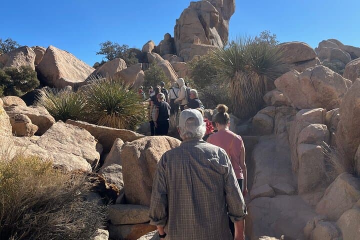 Joshua Tree Private Sightseeing Tour: Hidden Valley, Keys View & Cap Rock photo 2