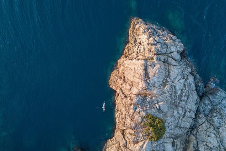 Cap de Creus Catamaran: Underwater Viewing and Swim Stop from Roses photo 5