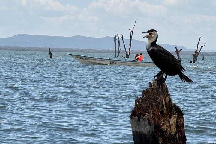 Hell's Gate Biking Safari & Lake Naivasha Day Trip from Nairobi photo 2