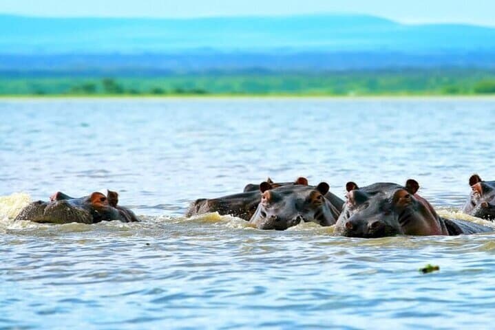 Hell's Gate Biking Safari & Lake Naivasha Day Trip from Nairobi photo 4