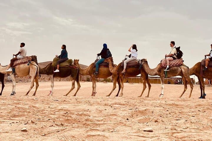 Majestic Agafay Desert Experience: Sunset Dinner, Camels & Argan Cooperative photo 3