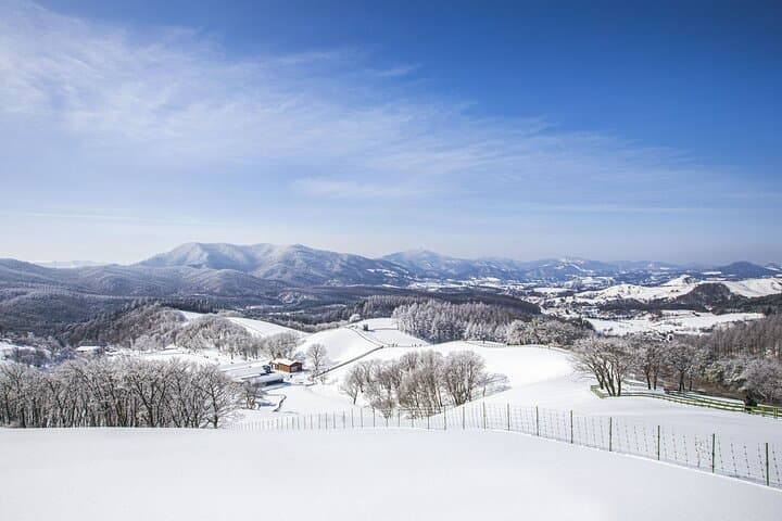 Balwangsan Cable Car & Daegwallyeong Sheep Ranch: Winter Skywalk and Snow Trail Adventure photo 2
