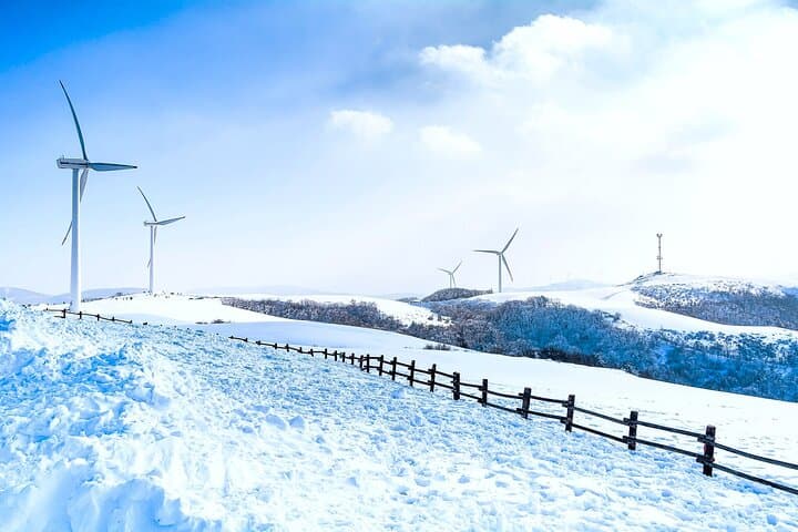 Balwangsan Cable Car & Daegwallyeong Sheep Ranch: Winter Skywalk and Snow Trail Adventure photo 4