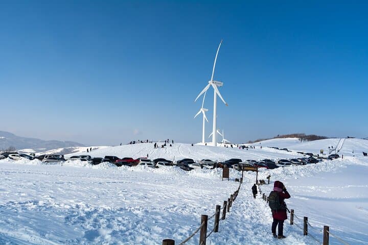 Balwangsan Cable Car & Daegwallyeong Sheep Ranch: Winter Skywalk and Snow Trail Adventure photo 5