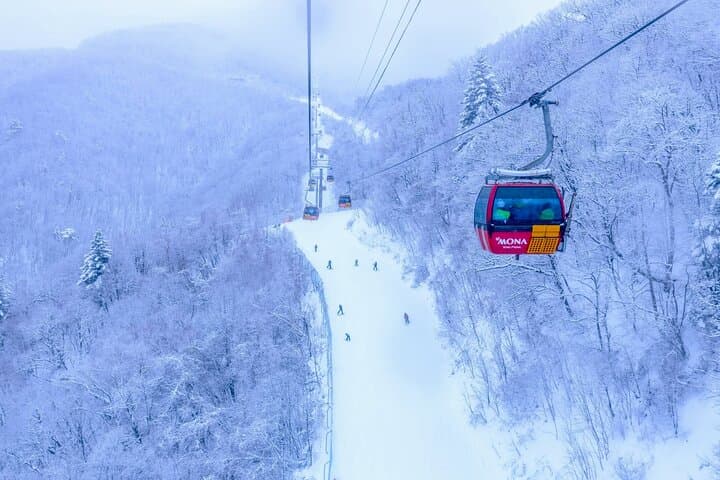 Balwangsan Cable Car & Daegwallyeong Sheep Ranch: Winter Skywalk and Snow Trail Adventure