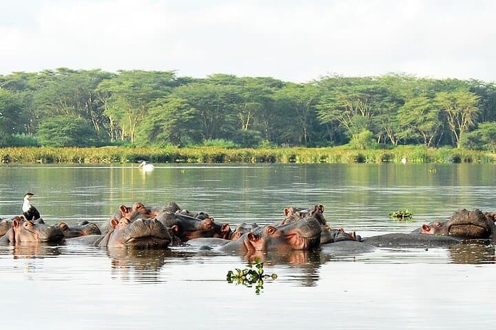Hell's Gate & Lake Naivasha Guided Bike Tour From Nairobi — Bikes, Gorges & Boat Safaris photo 5