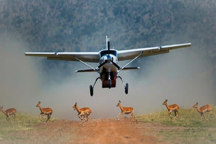 5-Day Luxury Flying Safari: Amboseli & Maasai Mara, Kenya photo 3