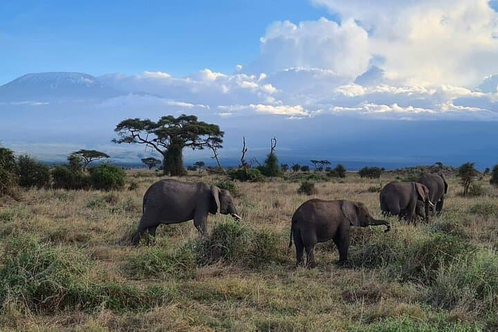 3-Day Amboseli Camping Safari — Elephants, Kilimanjaro & Night Camps photo 4