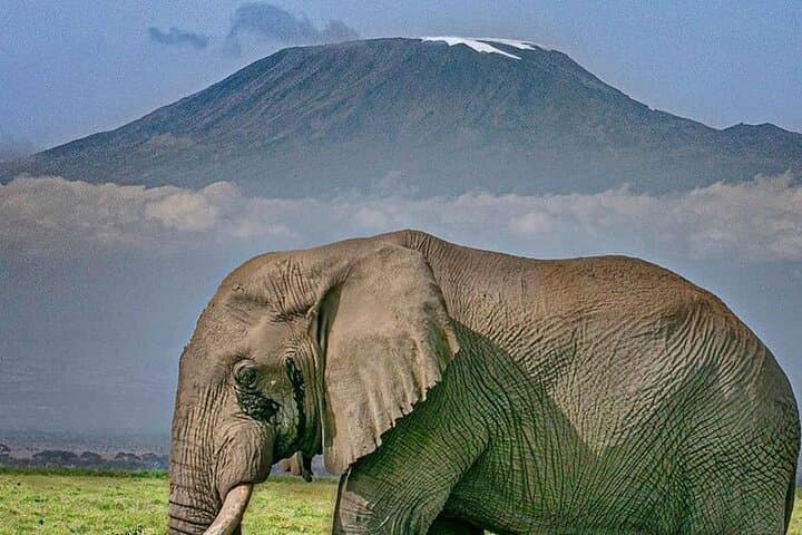 3-Day Amboseli Camping Safari — Elephants, Kilimanjaro & Night Camps photo 5