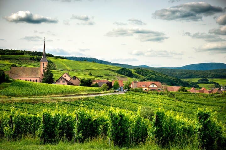 Alsace Wine Route Unusual Car Rally: Self-Guided Road Game Through Vineyards photo 2