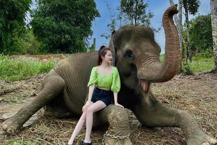 Bintan Safari Lagoi Tour: Meet Rescued Orangutans, Elephants & Sun Bears photo 2