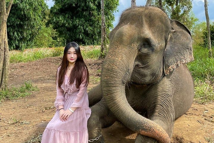 Bintan Safari Lagoi Tour: Meet Rescued Orangutans, Elephants & Sun Bears photo 4