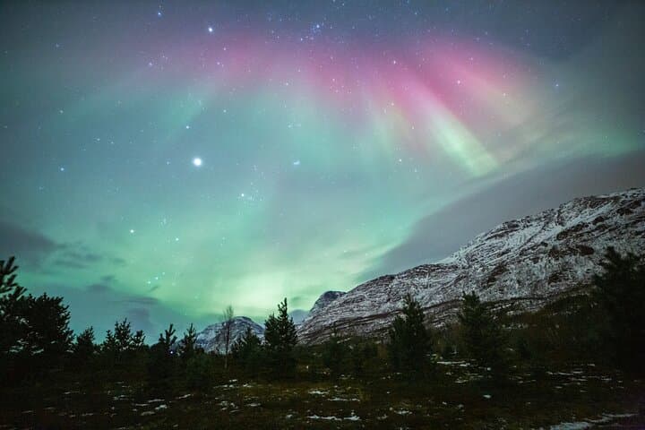 Tromsø Reindeer Sledding and Sami Storytelling Night Tour photo 2