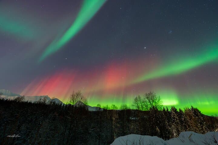 Tromsø Reindeer Sledding and Sami Storytelling Night Tour photo 5