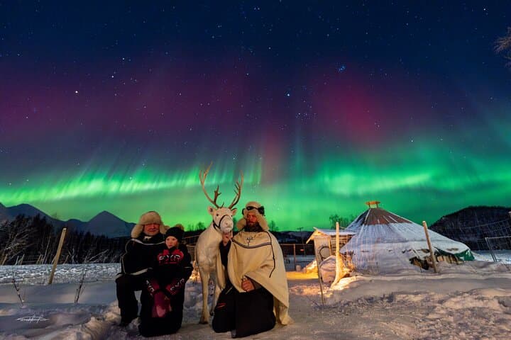 Tromsø Reindeer Sledding and Sami Storytelling Night Tour