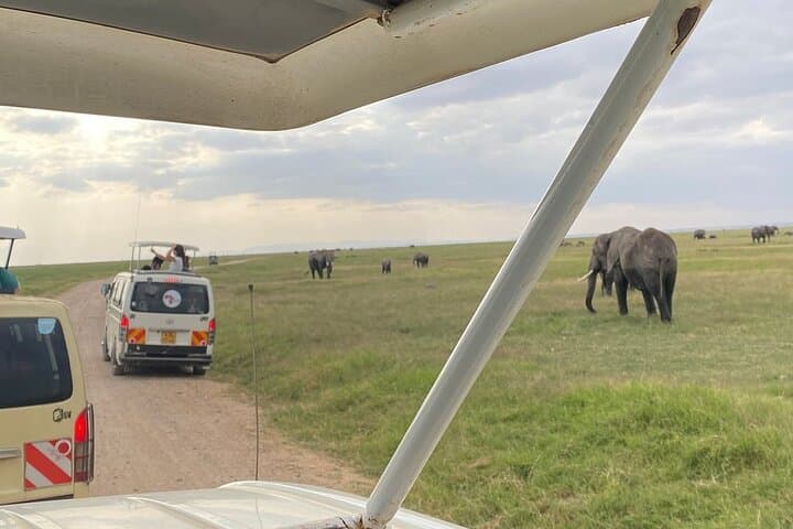 Amboseli Day Safari Under Mount Kilimanjaro — Full-Day Game Drive from Nairobi photo 3