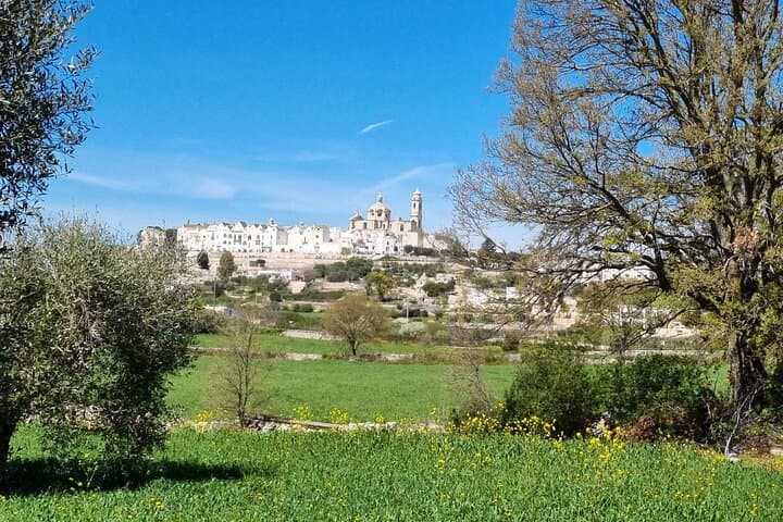 E-Bike Through Valle d'Itria: Locorotondo to Alberobello Day Tour photo 3