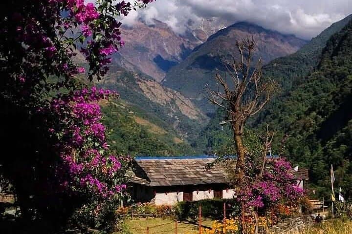 5-Day Annapurna Base Camp Trek from Pokhara — Short Guided Trek to ABC photo 4