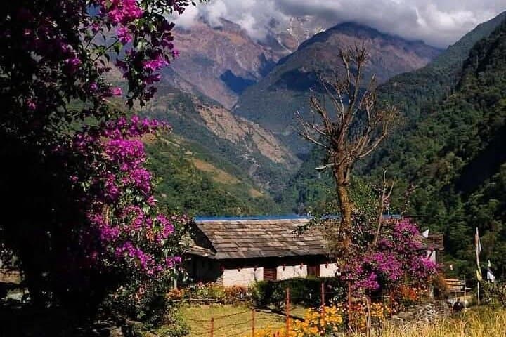 Australian Camp Day Hike from Pokhara: Annapurna Foothills Trek photo 3
