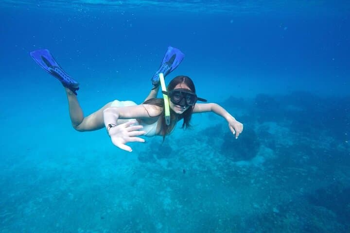 Palancar & Turtle Sanctuary: Shared Snorkel Adventure in Cozumel