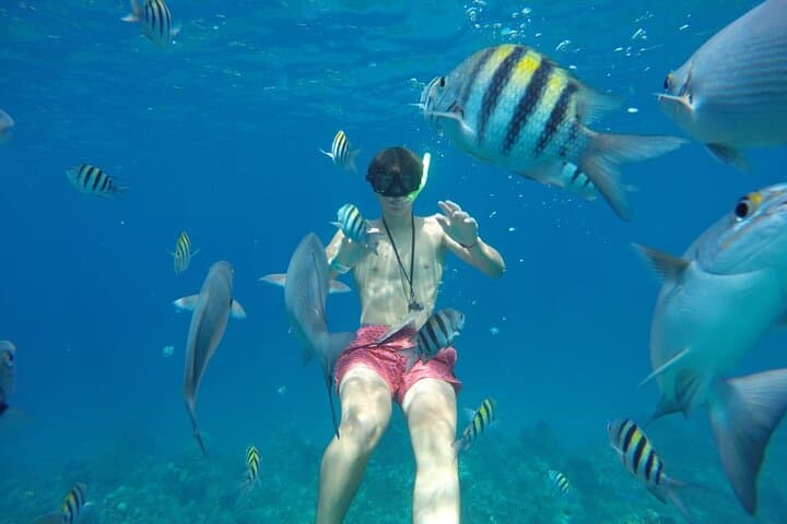 Palancar & Turtle Sanctuary: Shared Snorkel Adventure in Cozumel photo 4