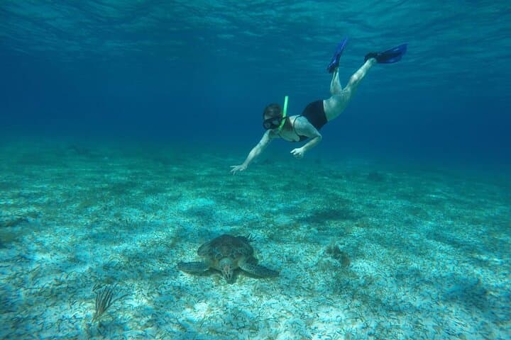 Palancar & Turtle Sanctuary: Shared Snorkel Adventure in Cozumel photo 6