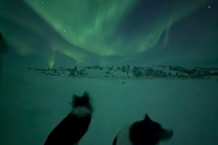 Alta Northern Lights Minibus Chase: Max 16-Person Aurora Safari photo 2