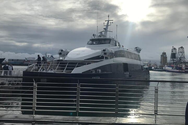 Robben Island Half-Day Tour: Mandela's Prison & Cape Town Ferry Experience