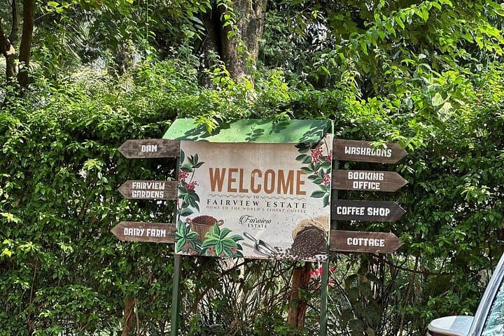 Fairview Coffee Farm Tour — Nairobi Coffee Estate Visit & Tasting photo 5
