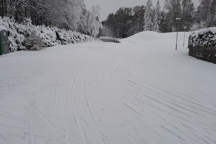 Learn Cross-Country Skiing in Tallinn's Nõmme Forest Park photo 4