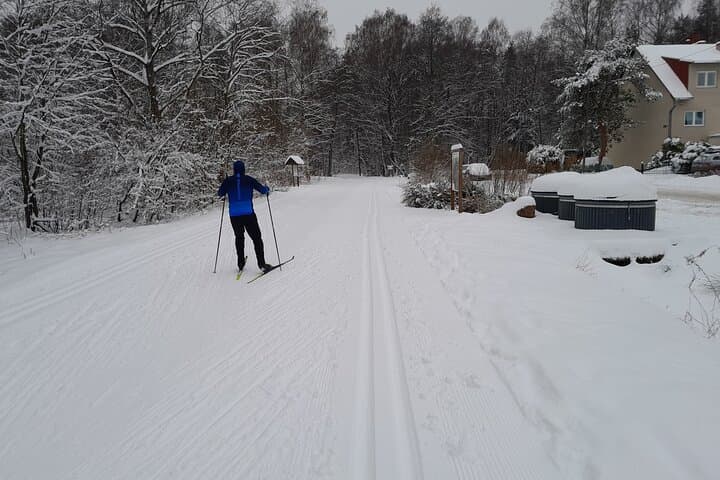 Learn Cross-Country Skiing in Tallinn's Nõmme Forest Park photo 5