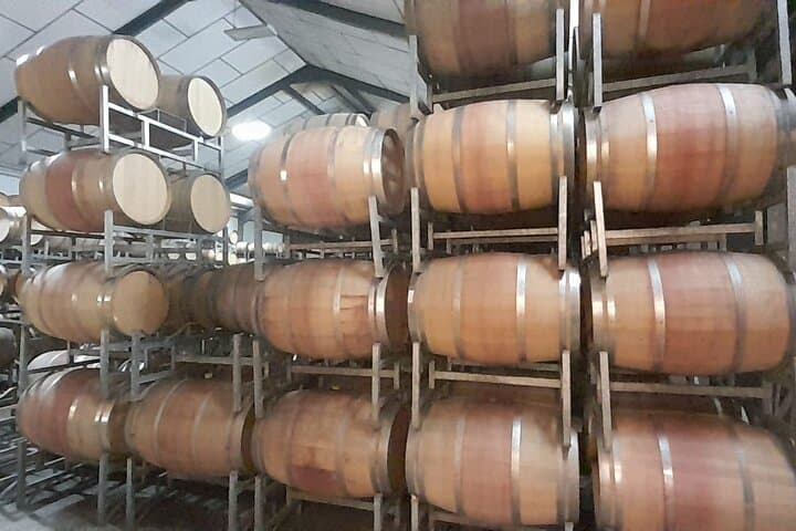 Stellenbosch Wine & Wildlife: Full-Day Tasting Tour from Cape Town photo 5