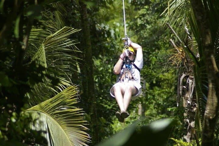 Zipline St. Lucia: Treetop Canopy Tour Through the Rainforest photo 6