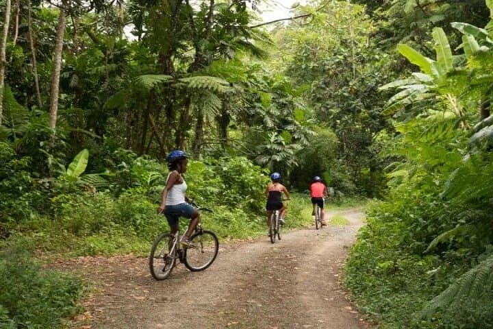 St. Lucia Treetop Canopy: Zipline and Rainforest Hike or Bike Day Trip photo 5
