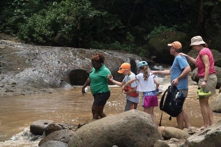St. Lucia Treetop Canopy: Zipline and Rainforest Hike or Bike Day Trip photo 4