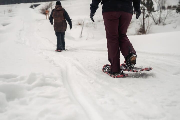 Takane Snow Village Private Tour: Snowshoeing, Kamakura & Local Food in Niigata photo 4