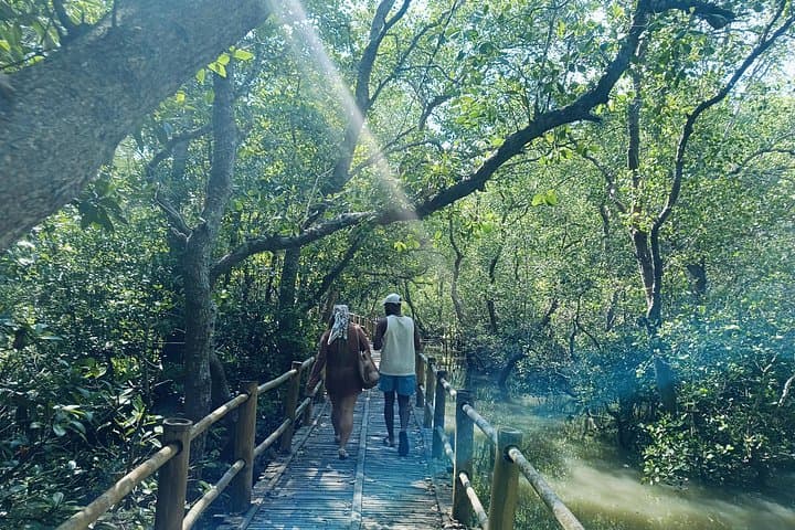 Bali Mangrove Kayak, GWK Cultural Park & Balinese Massage Day Trip photo 2