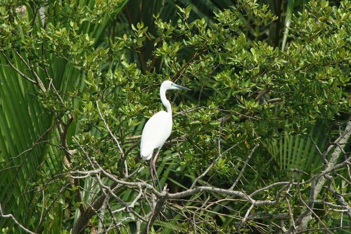 Bali Mangrove Kayak, GWK Cultural Park & Balinese Massage Day Trip photo 4