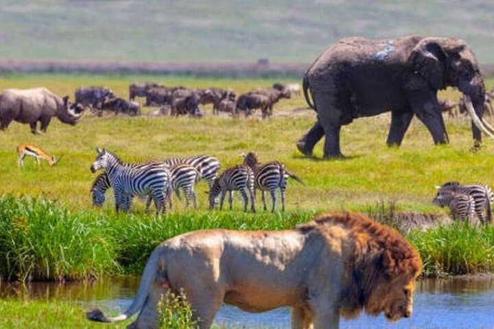 3-Day Masai Mara Luxury Jeep Safari: Big Five, Migration & Maasai Culture photo 4