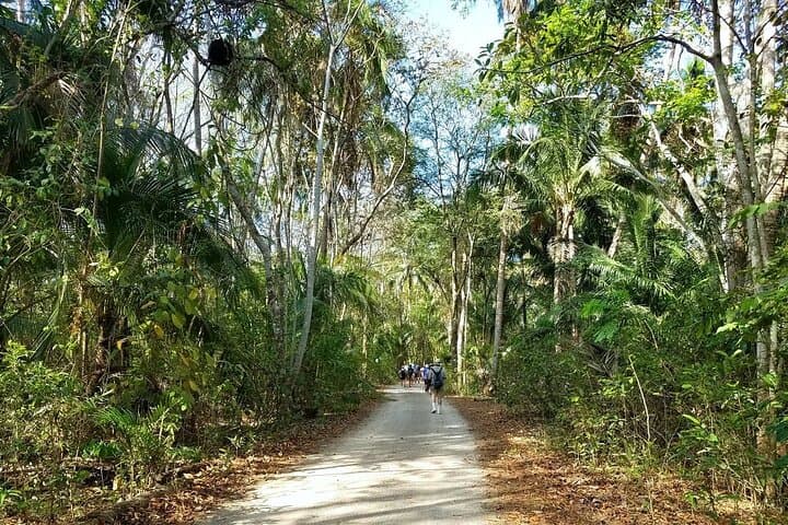 Curu Wildlife Refuge Guided Hike: Monkeys, Iguanas & Coastal Dry-Forest Trails photo 3