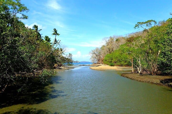 Curu Wildlife Refuge Guided Hike: Monkeys, Iguanas & Coastal Dry-Forest Trails photo 4