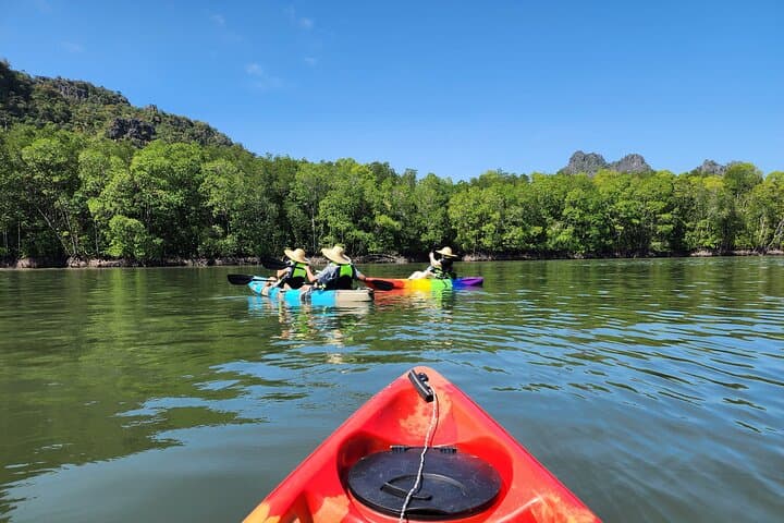 Langkawi Mangrove Kayak Tour - Kilim Geoforest Paddle & Eagle Watching photo 3
