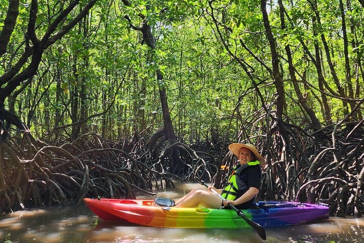 Langkawi Mangrove Kayak Tour - Kilim Geoforest Paddle & Eagle Watching photo 2