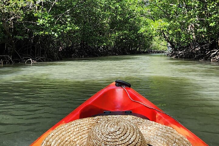 Langkawi Mangrove Kayak Tour - Kilim Geoforest Paddle & Eagle Watching photo 4