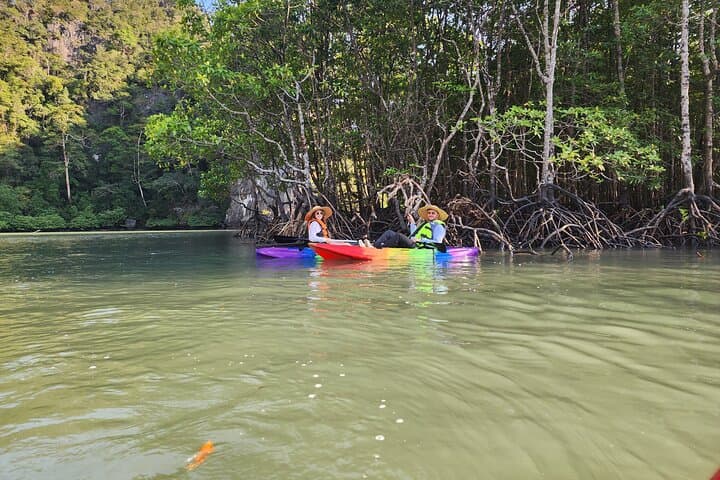 Langkawi Mangrove Kayak Tour - Kilim Geoforest Paddle & Eagle Watching photo 6