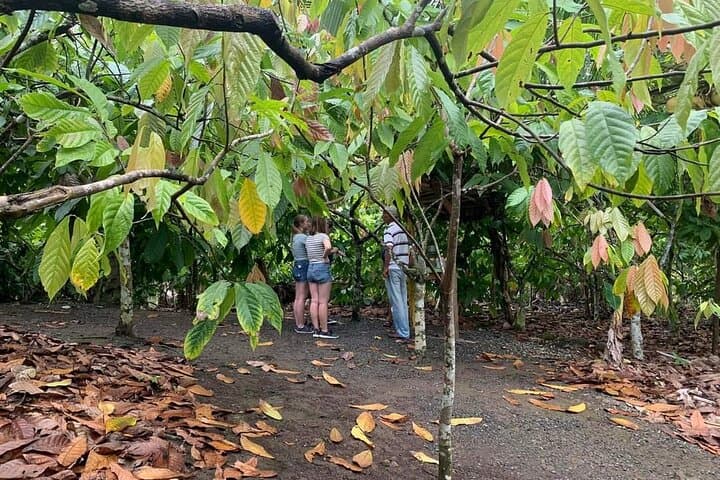 Punta Cana Safari Tour: Higüey, Countryside & Macao Beach Day Trip photo 5